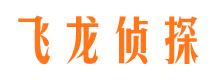 平安职业捉奸人